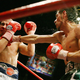 Illustration for article titled Antonio Margarito Is More Machine Than Man